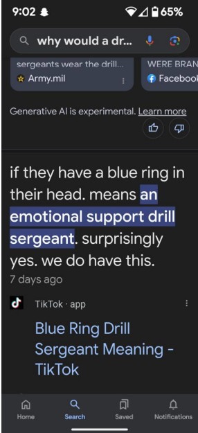 Results saying there are emotional support drill sergeants. This is false.