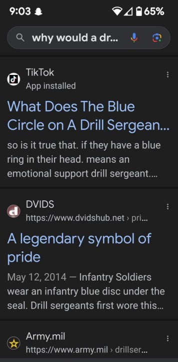 Incorrect search results showing the emotional support DI in the first result, but the correct interpretation in the second