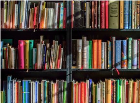 A photo of a neatly organized bookshelf in a library, symbolizing traditional information curation.