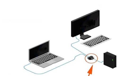 Data jack with 2 outputs.