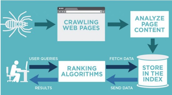 An image flowchart of how companies index the web, analyze page content, store the index, and users search the index to find web content.